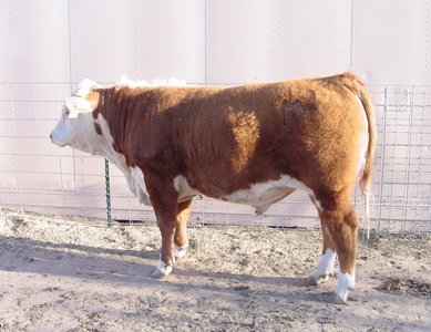 730aa.JPG